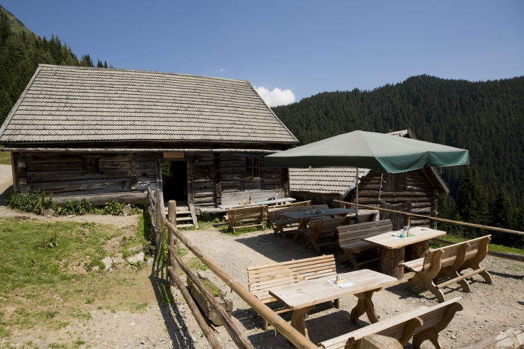 Die urige Almhütte mit Terrasse